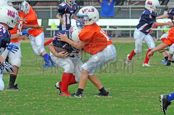 8-18 WA vs. SA PW 015.JPG